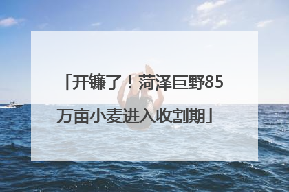 开镰了！菏泽巨野85万亩小麦进入收割期