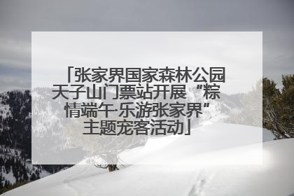 张家界国家森林公园天子山门票站开展“粽情端午·乐游张家界”主题宠客活动