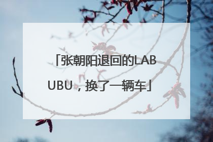 张朝阳退回的LABUBU，换了一辆车