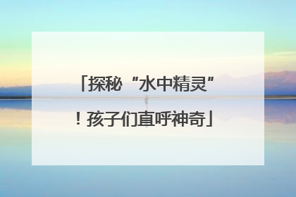 探秘“水中精灵”！孩子们直呼神奇