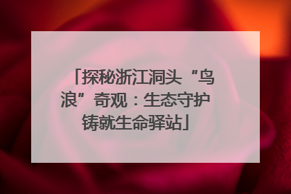 探秘浙江洞头“鸟浪”奇观：生态守护铸就生命驿站