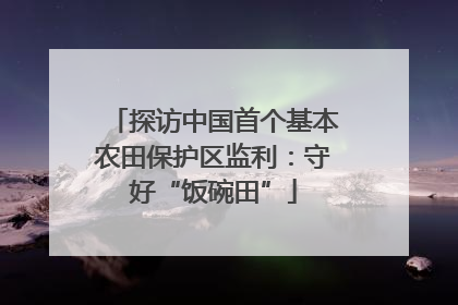 探访中国首个基本农田保护区监利：守好“饭碗田”