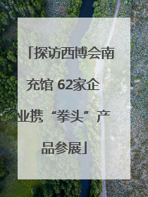 探访西博会南充馆 62家企业携“拳头”产品参展