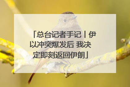 总台记者手记丨伊以冲突爆发后 我决定即刻返回伊朗