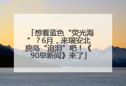 想看蓝色“荧光海”？6月，来瑞安北麂岛“追泪”吧！《90早新闻》来了