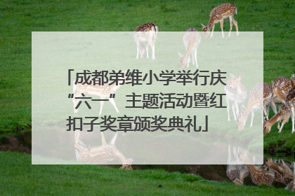成都弟维小学举行庆“六一”主题活动暨红扣子奖章颁奖典礼