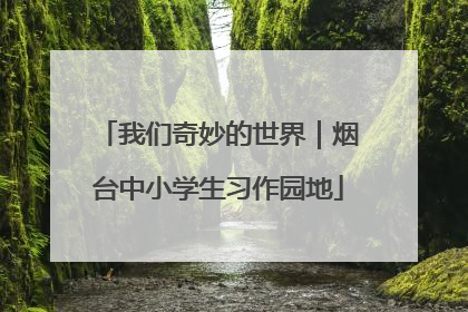 我们奇妙的世界｜烟台中小学生习作园地