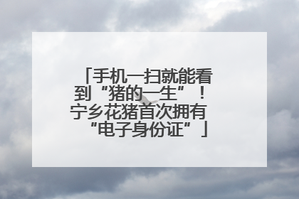 手机一扫就能看到“猪的一生”！宁乡花猪首次拥有“电子身份证”