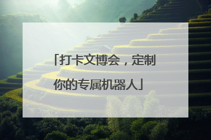 打卡文博会，定制你的专属机器人