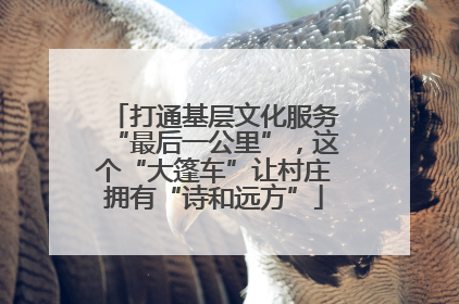 打通基层文化服务“最后一公里”，这个“大篷车”让村庄拥有“诗和远方”