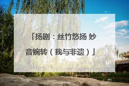 扬剧：丝竹悠扬 妙音婉转（我与非遗）