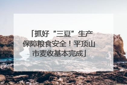 抓好“三夏”生产 保障粮食安全！平顶山市麦收基本完成