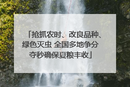 抢抓农时、改良品种、绿色灭虫 全国多地争分夺秒确保夏粮丰收