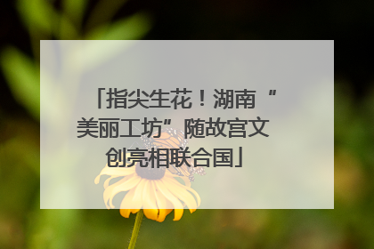 指尖生花！湖南“美丽工坊”随故宫文创亮相联合国