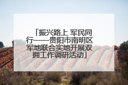 振兴路上 军民同行——贵阳市南明区军地联合实地开展双拥工作调研活动