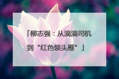 柳志强：从滴滴司机到“红色领头雁”