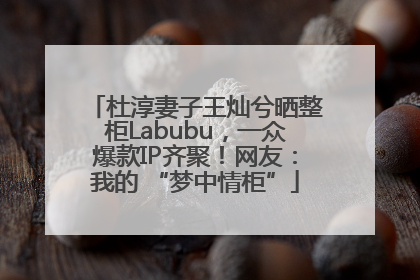 杜淳妻子王灿兮晒整柜Labubu，一众爆款IP齐聚！网友：我的 “梦中情柜”