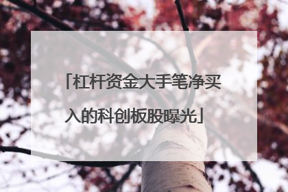 杠杆资金大手笔净买入的科创板股曝光