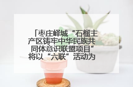 枣庄峄城“石榴主产区铸牢中华民族共同体意识联盟项目”将以“六联”活动为抓手深化品牌建设