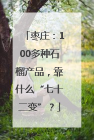 枣庄：100多种石榴产品，靠什么“七十二变”？