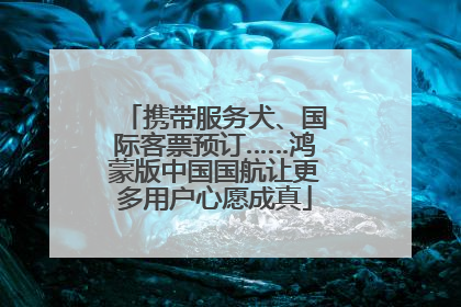 携带服务犬、国际客票预订……鸿蒙版中国国航让更多用户心愿成真