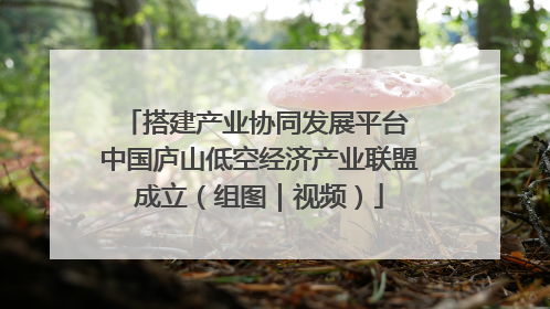 搭建产业协同发展平台 中国庐山低空经济产业联盟成立（组图｜视频）