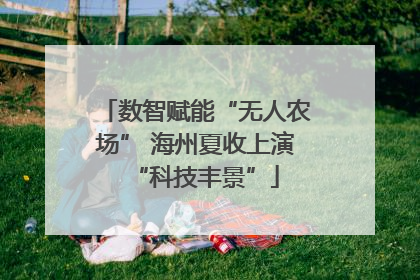 数智赋能“无人农场” 海州夏收上演“科技丰景”