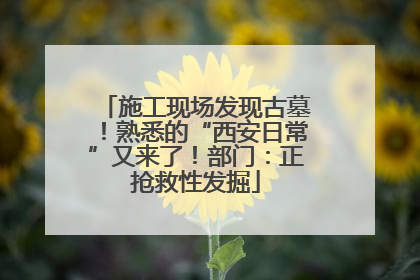 施工现场发现古墓！熟悉的“西安日常”又来了！部门：正抢救性发掘