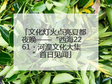 文化灯火点亮夏都夜晚——“西海2261・河湟文化大集”首日见闻