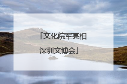 文化皖军亮相深圳文博会