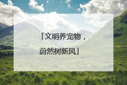 文明养宠物，蔚然树新风