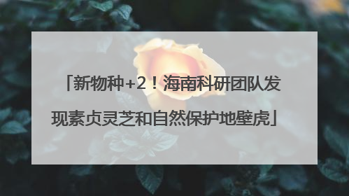 新物种+2！海南科研团队发现素贞灵芝和自然保护地壁虎