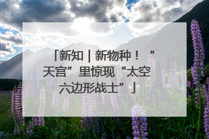 新知｜新物种！“天宫”里惊现“太空六边形战士”