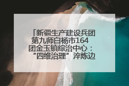 新疆生产建设兵团第九师白杨市164团金玉镇综治中心：“四维治理”淬炼边疆“枫桥样本”