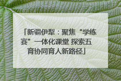 新疆伊犁：聚焦“学练赛”一体化课堂 探索五育协同育人新路径
