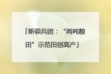 新疆兵团：“两吨粮田”示范田创高产