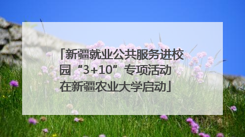 新疆就业公共服务进校园“3+10”专项活动在新疆农业大学启动