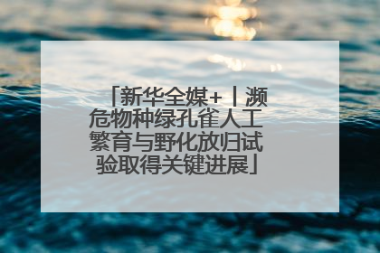 新华全媒+丨濒危物种绿孔雀人工繁育与野化放归试验取得关键进展