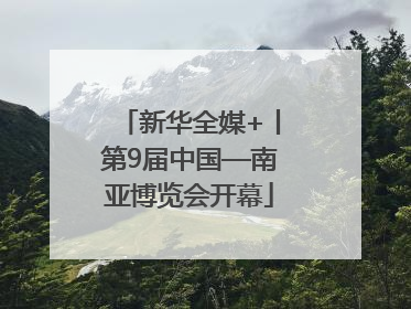 新华全媒+丨第9届中国—南亚博览会开幕