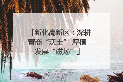 新化高新区：深耕营商“沃土” 厚植发展“磁场”