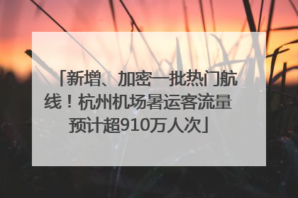 新增、加密一批热门航线！杭州机场暑运客流量预计超910万人次