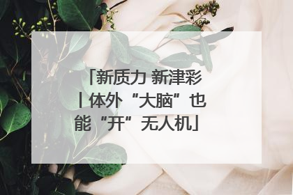 新质力 新津彩丨体外“大脑”也能“开”无人机