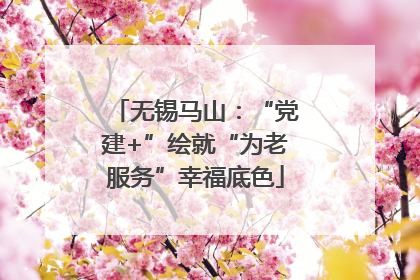 无锡马山：“党建+”绘就“为老服务”幸福底色
