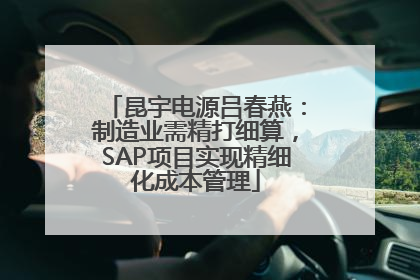 昆宇电源吕春燕：制造业需精打细算，SAP项目实现精细化成本管理