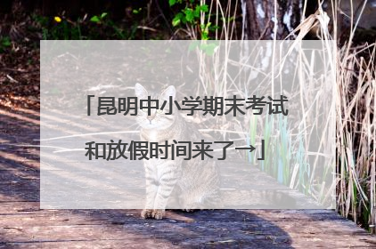 昆明中小学期末考试和放假时间来了→