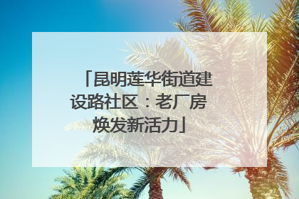 昆明莲华街道建设路社区：老厂房焕发新活力