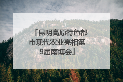 昆明高原特色都市现代农业亮相第9届南博会