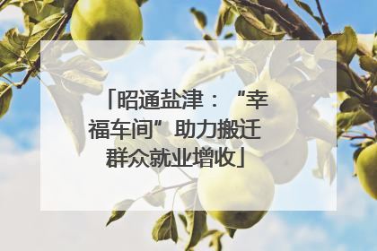 昭通盐津：“幸福车间”助力搬迁群众就业增收