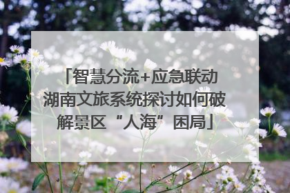 智慧分流+应急联动 湖南文旅系统探讨如何破解景区“人海”困局