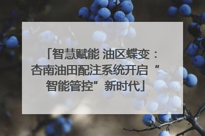 智慧赋能 油区蝶变：杏南油田配注系统开启“智能管控”新时代